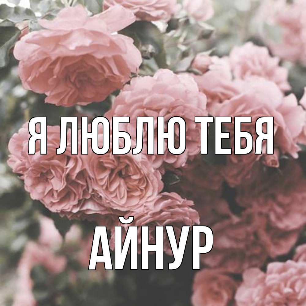 Открытка  с именем. Айнур, Я люблю тебя  