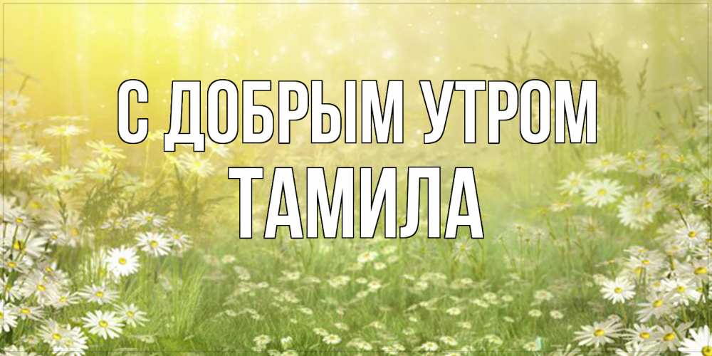 Открытка  с именем. Тамила, С добрым утром  