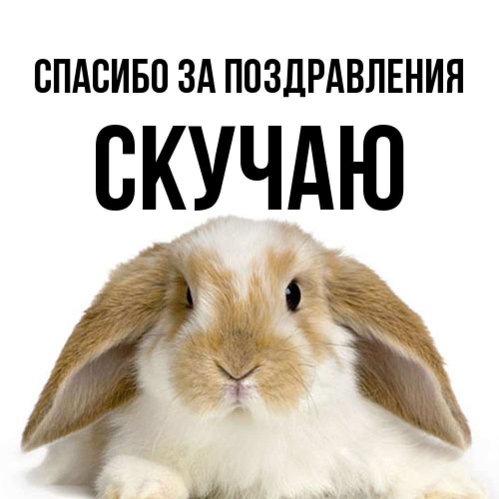 Открытка  с именем. Скучаю, Спасибо за поздравления  