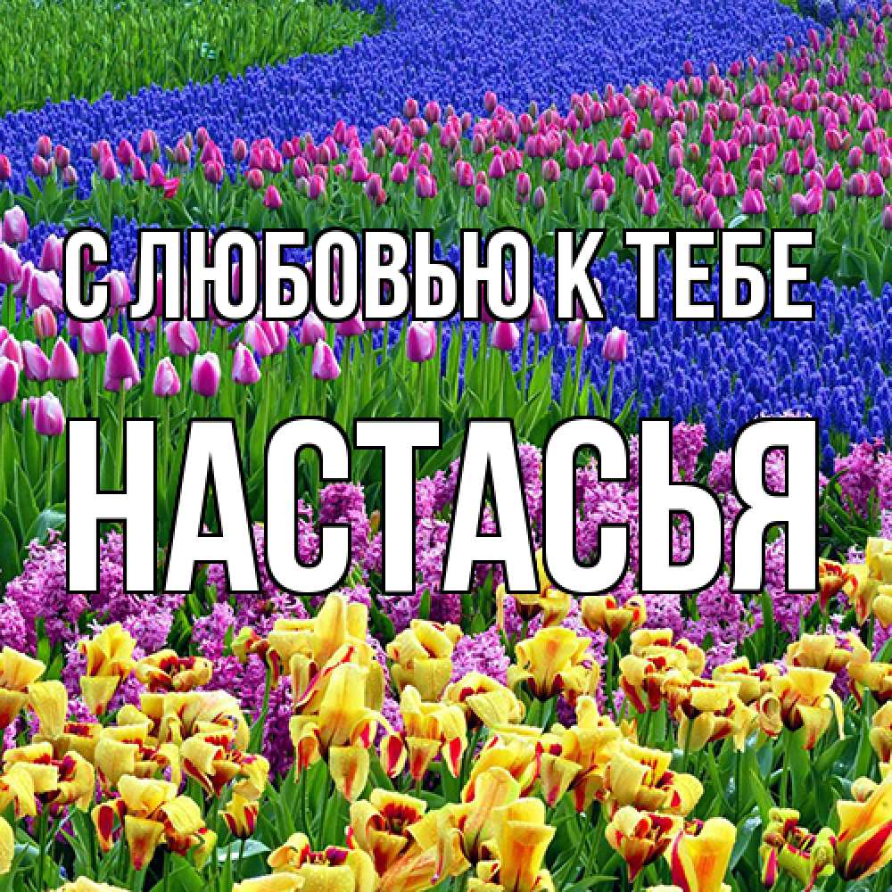 Открытка  с именем. Настасья, С любовью к тебе  