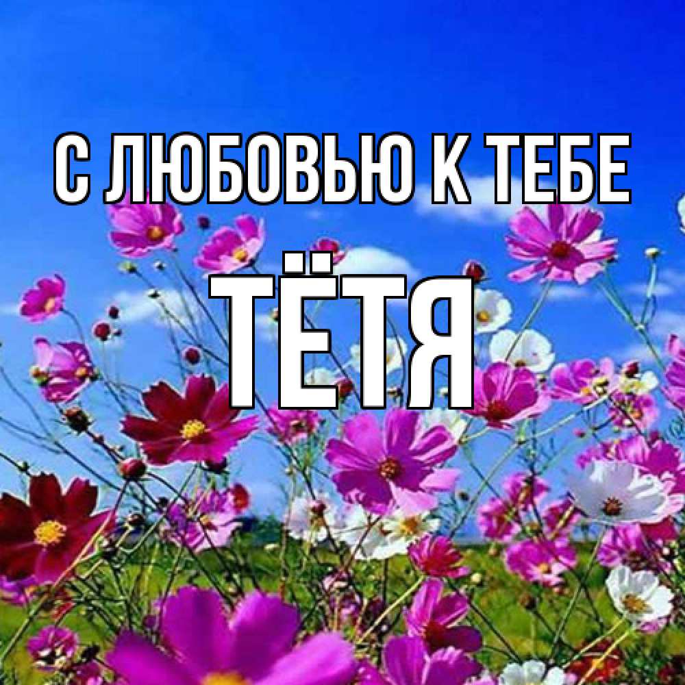 Открытка  с именем. Тётя, С любовью к тебе  