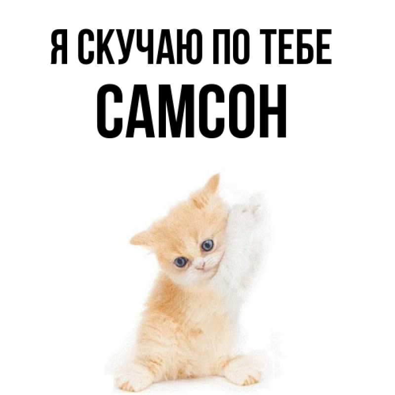 Картинка Я скучаю по тебе, Самсон