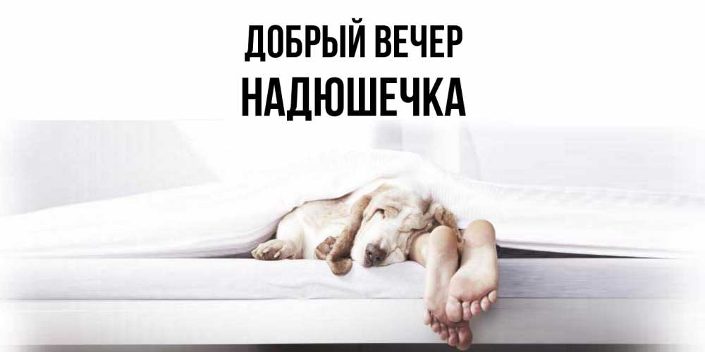 Открытка  с именем. Надюшечка, Добрый вечер  
