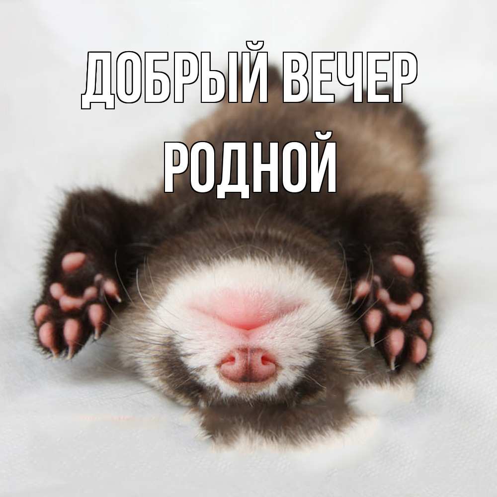 Открытка  с именем. родной, Добрый вечер  