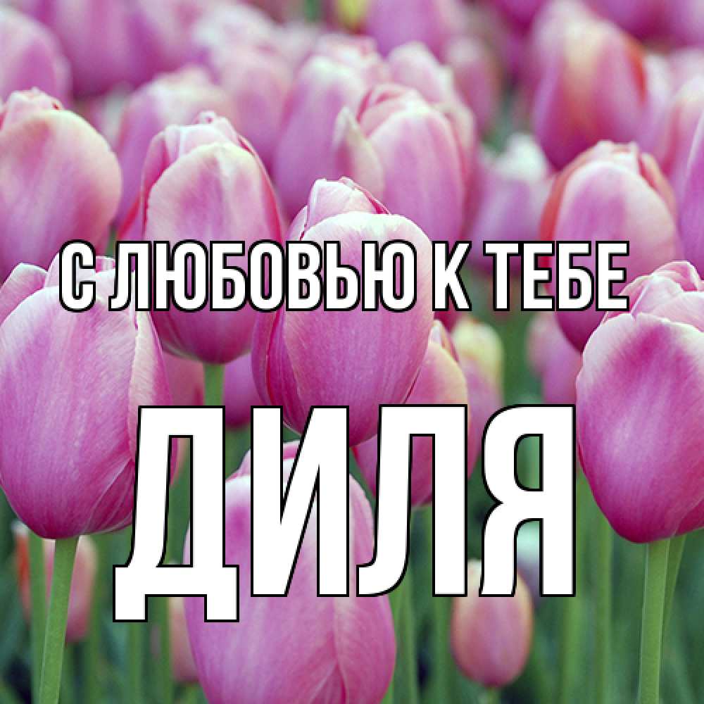 Открытка  с именем. Диля, С любовью к тебе  