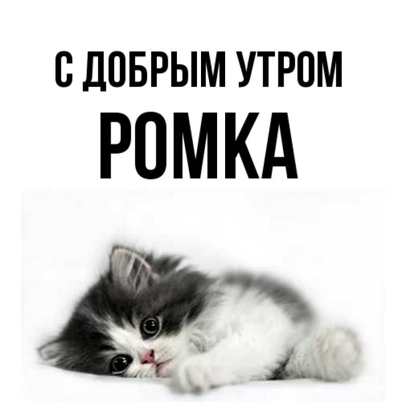 Картинка С добрым утром, Ромка