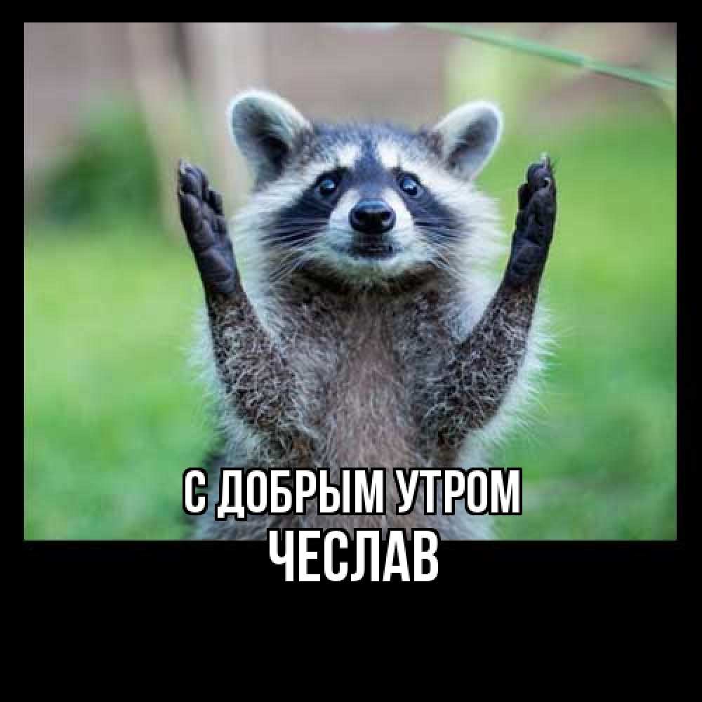 Открытка  с именем. Чеслав, С добрым утром  