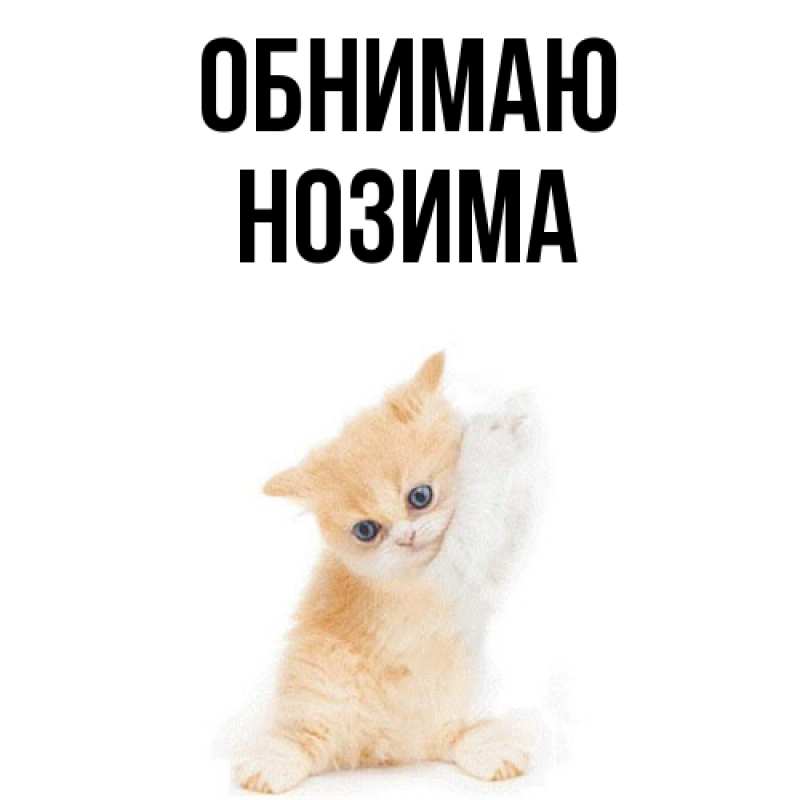 Картинка Обнимаю, Нозима