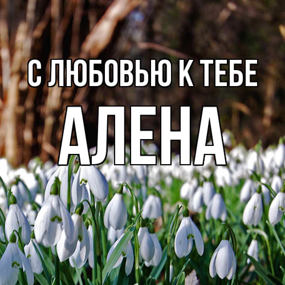 Открытка  с именем. Алена, С любовью к тебе  