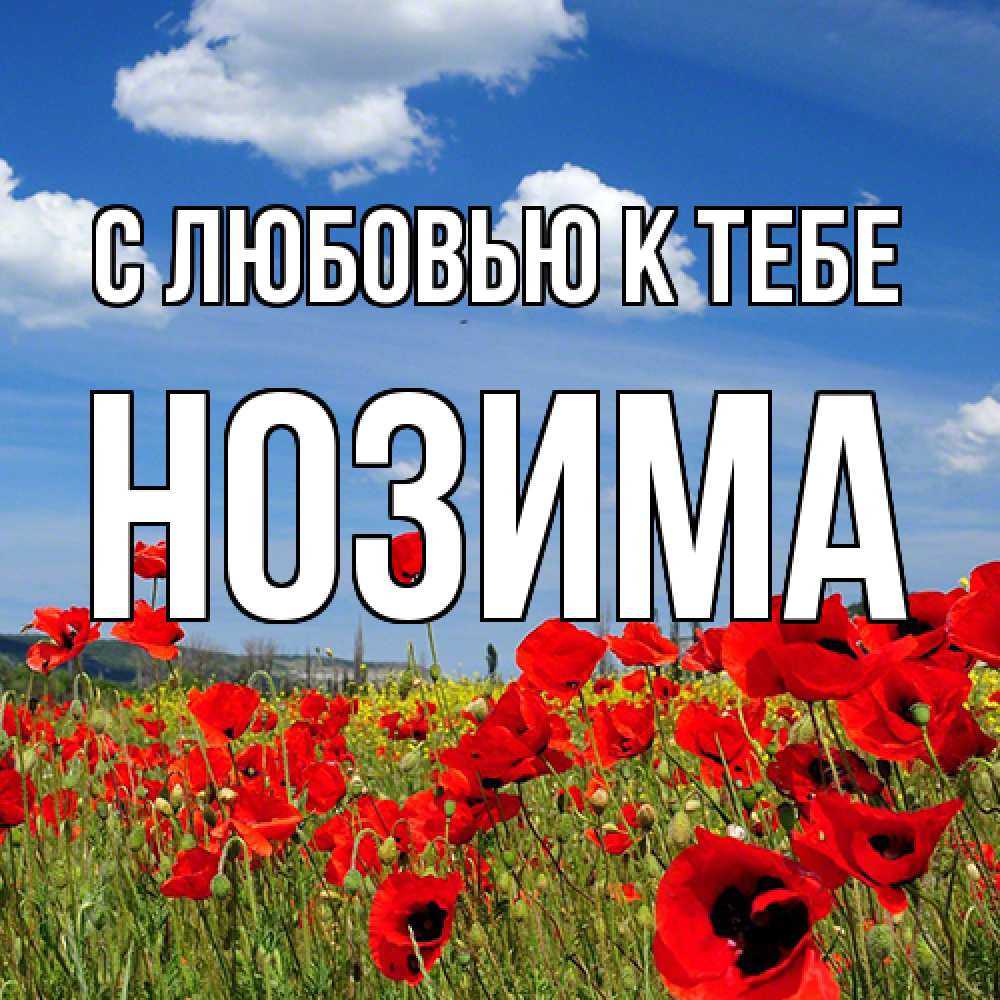 Открытка  с именем. НОЗИМА, С любовью к тебе  