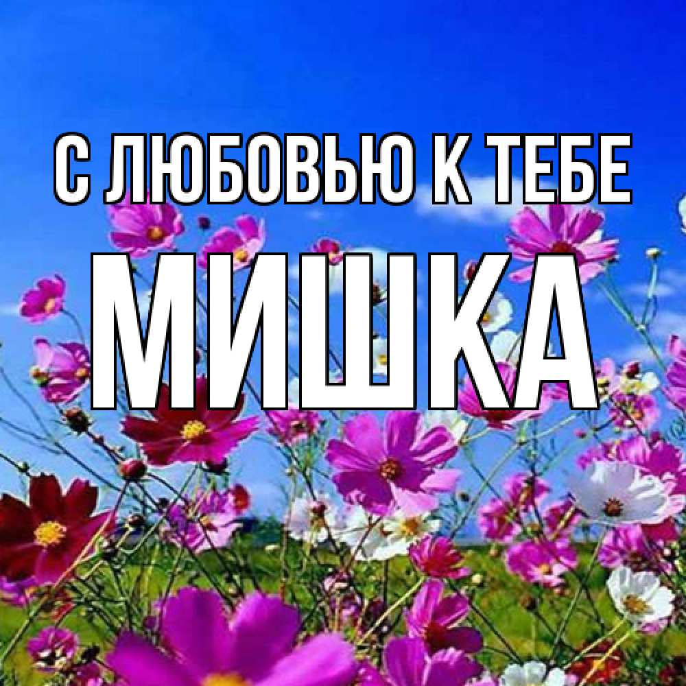 Открытка  с именем. Мишка, С любовью к тебе  