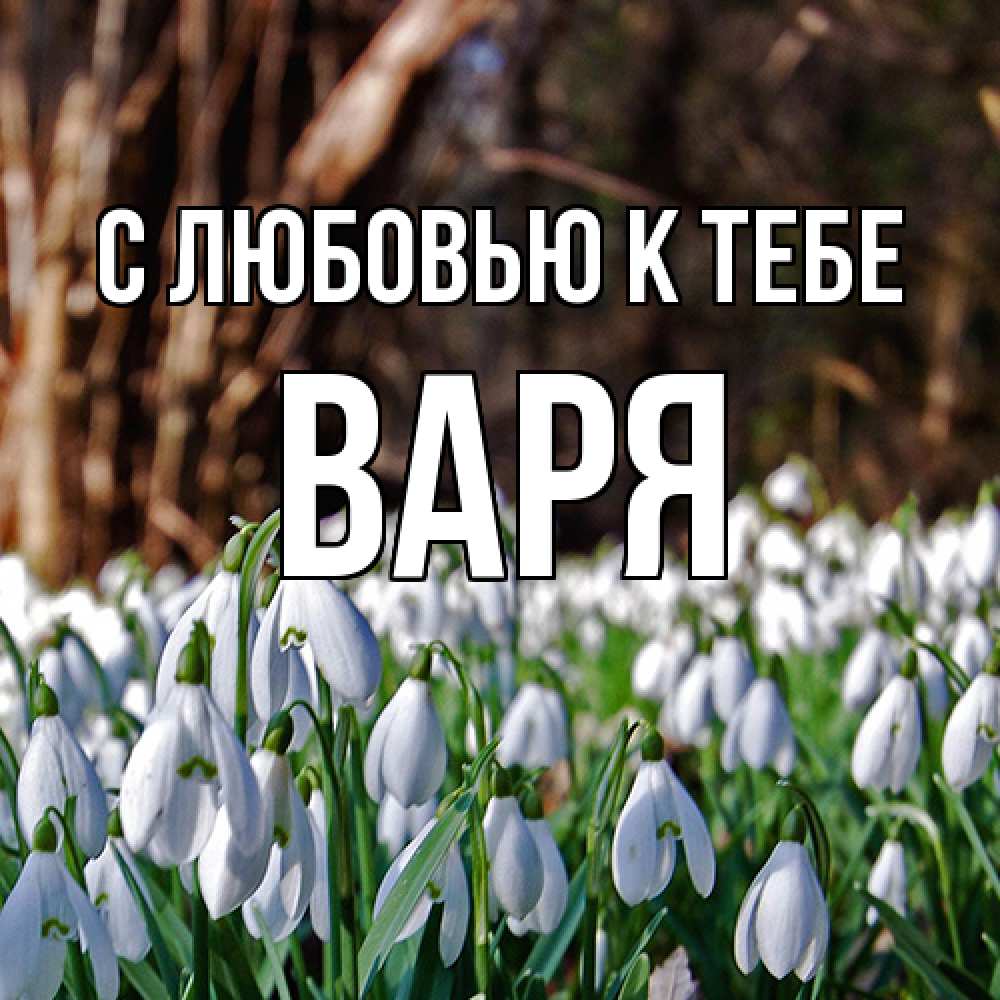 Открытка  с именем. варя, С любовью к тебе  