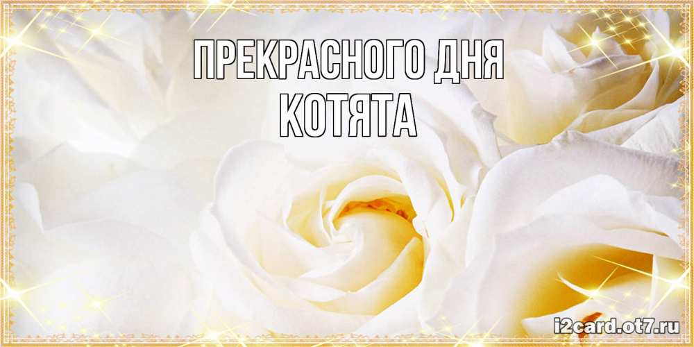 Открытка  с именем. Котята, Прекрасного дня  
