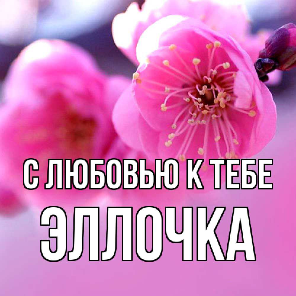 Открытка  с именем. Эллочка, С любовью к тебе  