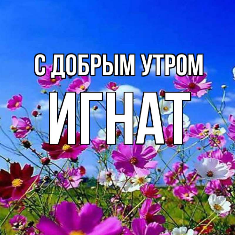 Картинка С добрым утром, Игнат