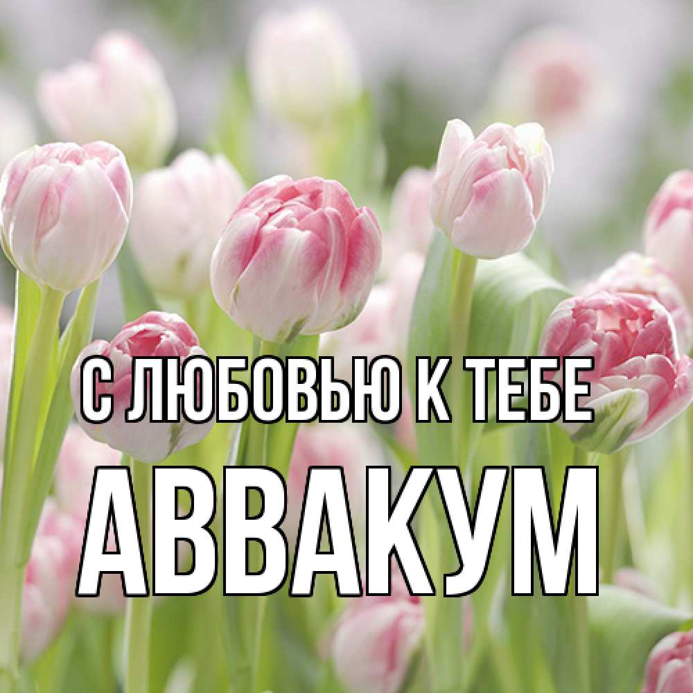 Открытка  с именем. Аввакум, С любовью к тебе  