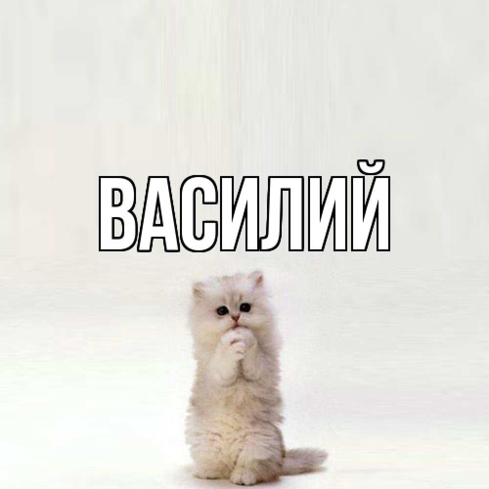 Открытка  с именем. Василий, Главная  
