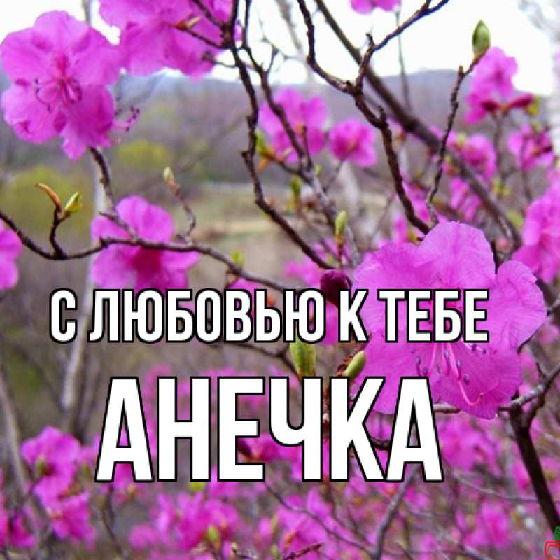 Картинка С любовью к тебе, анечка