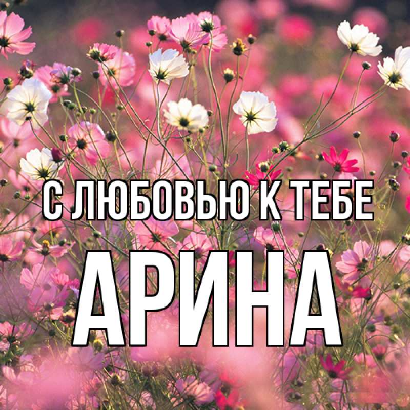 Картинка С любовью к тебе, Арина