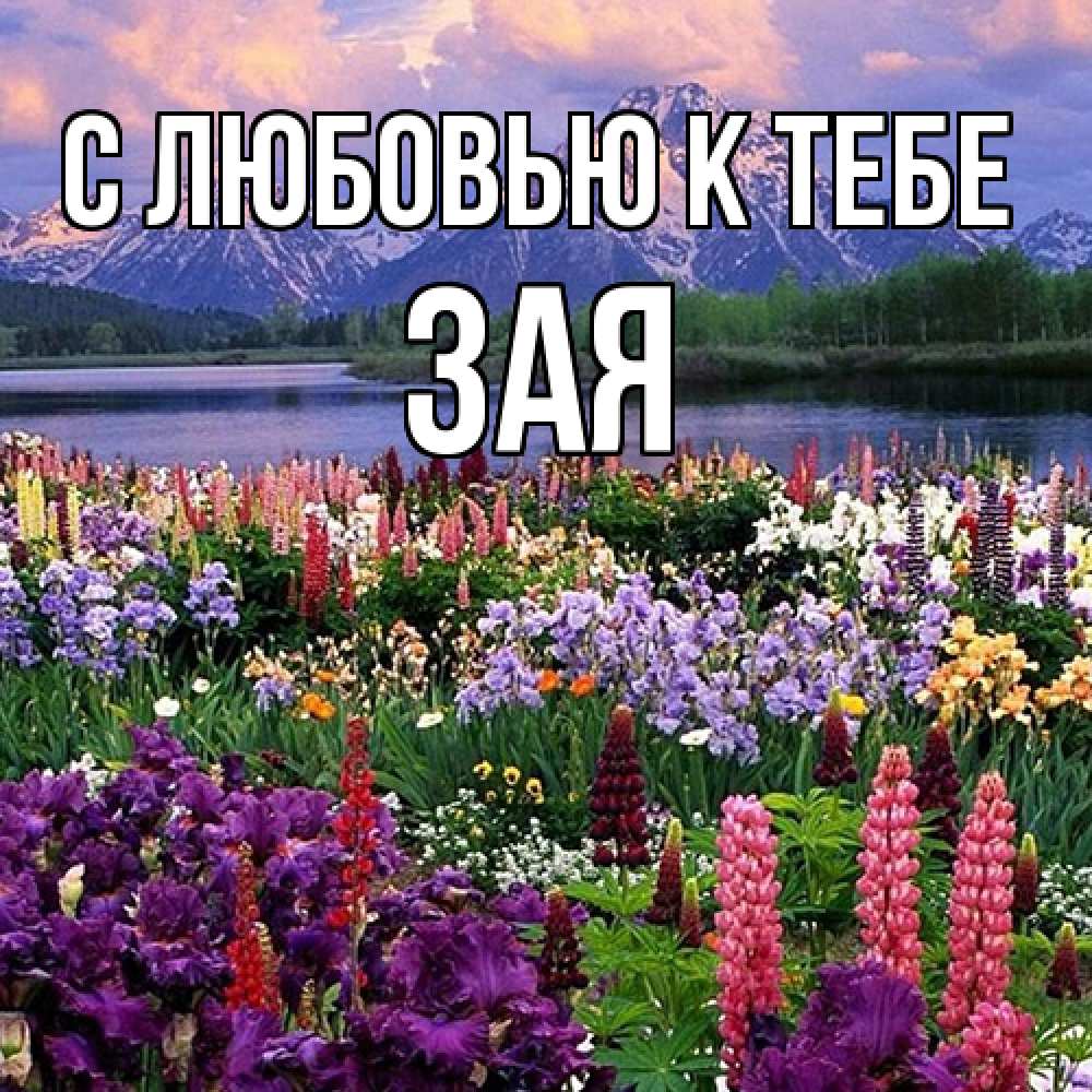 Открытка  с именем. Зая, С любовью к тебе  