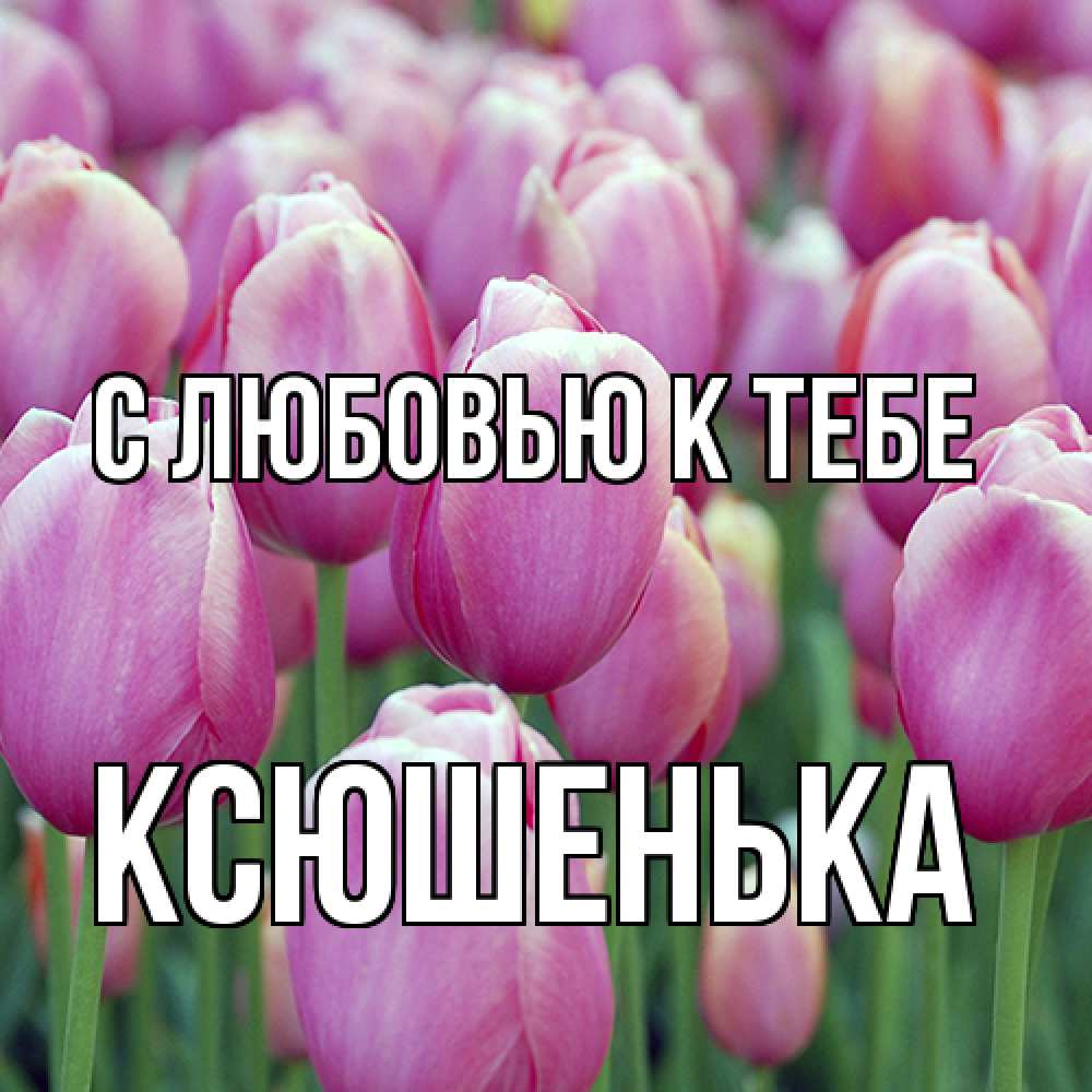 Открытка  с именем. Ксюшенька, С любовью к тебе  