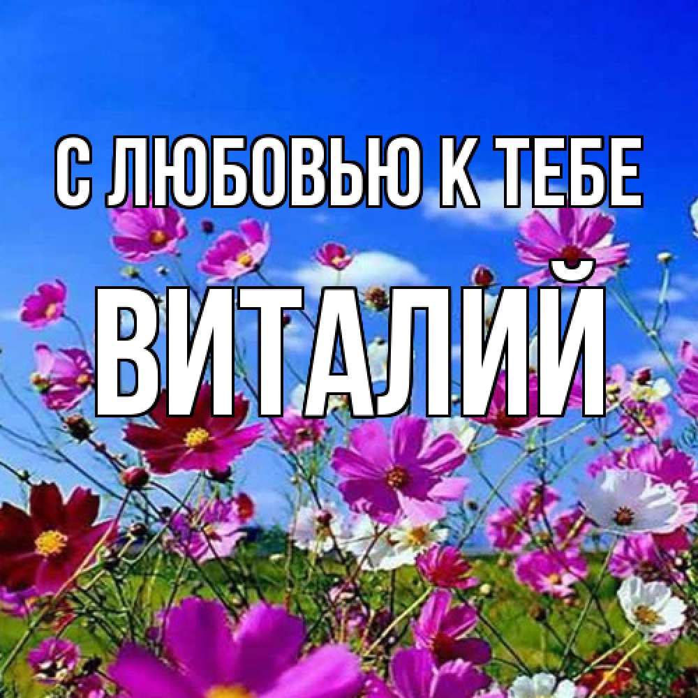 Открытка  с именем. Виталий, С любовью к тебе  