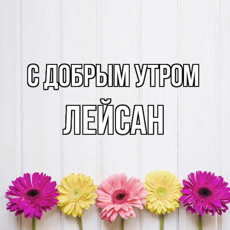 Картинка С добрым утром, Лейсан