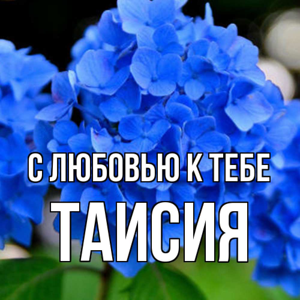 Открытка  с именем. Таисия, С любовью к тебе  