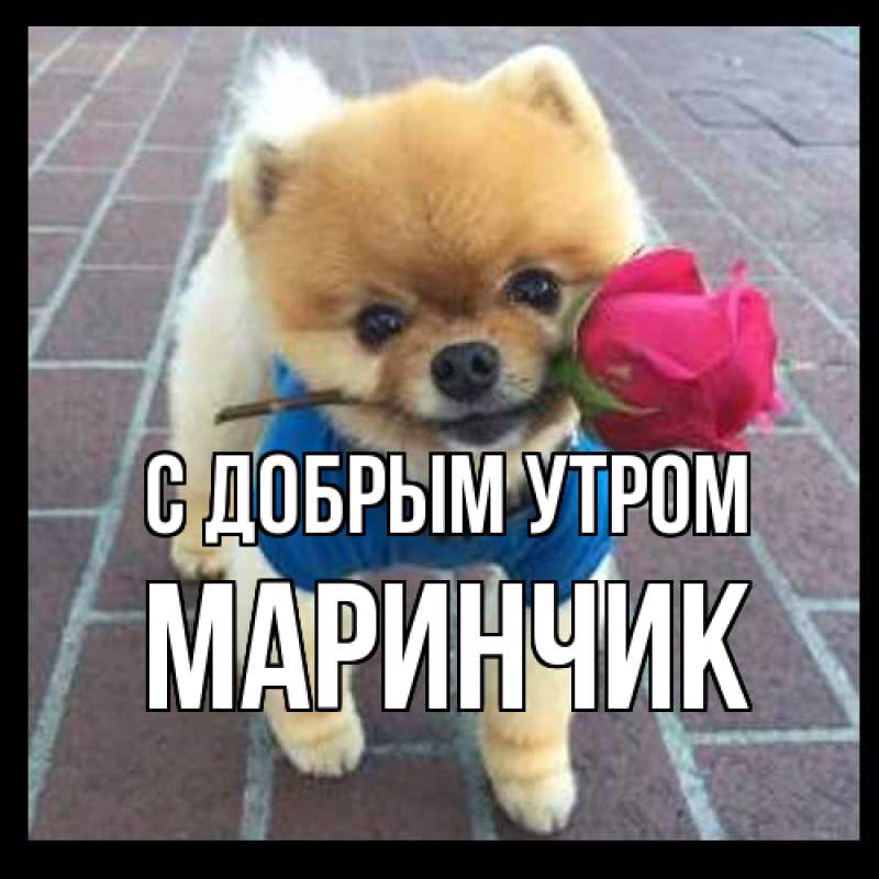 Картинка С добрым утром, Маринчик