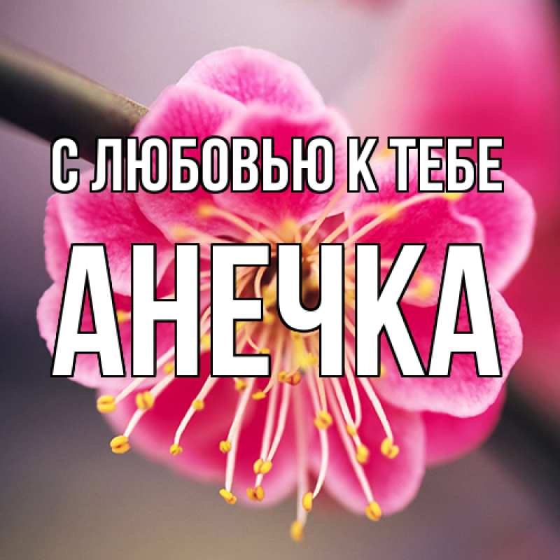 Картинка С любовью к тебе, анечка