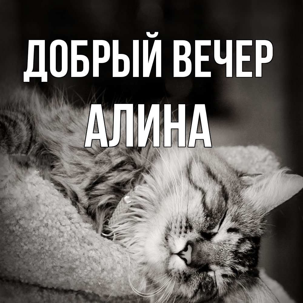 Открытка  с именем. Алина, Добрый вечер  