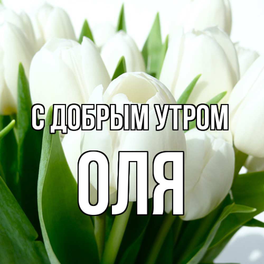 Открытка  с именем. оля, С добрым утром  