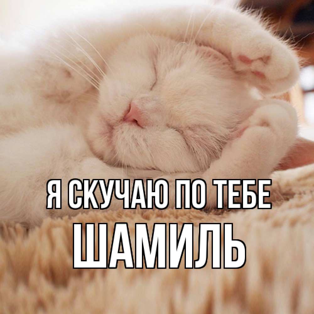 Открытка  с именем. Шамиль, Я скучаю по тебе  