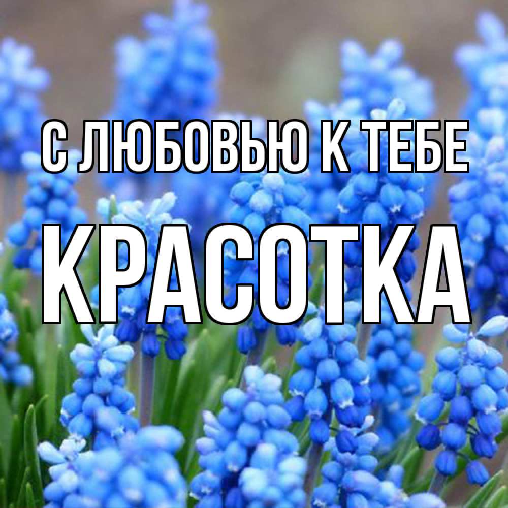 Открытка  с именем. Красотка, С любовью к тебе  