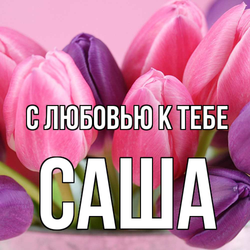 Открытка  с именем. Саша, С любовью к тебе  