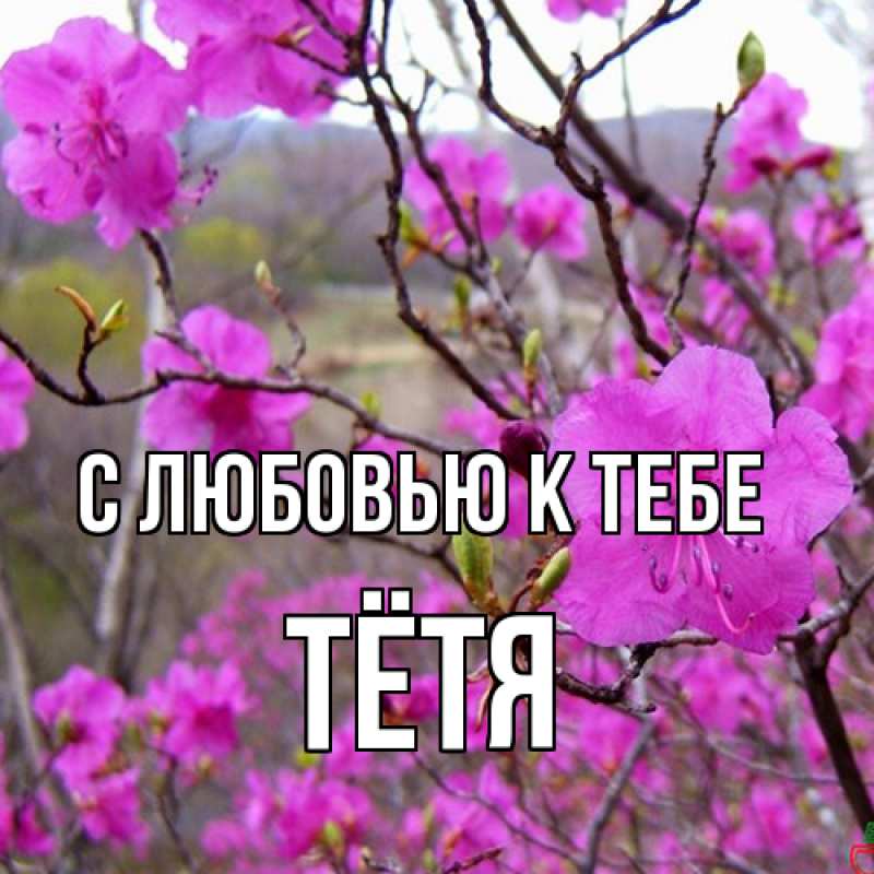 Картинка С любовью к тебе, Тётя
