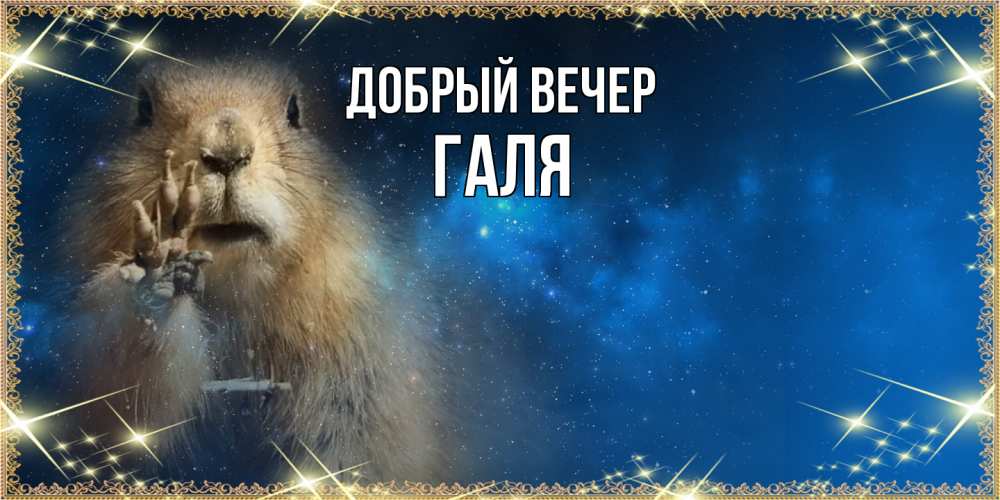 Открытка  с именем. Галя, Добрый вечер  