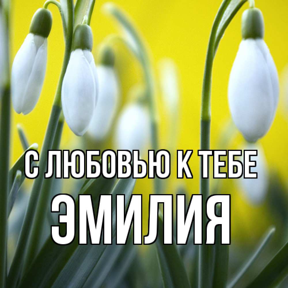 Открытка  с именем. Эмилия, С любовью к тебе  