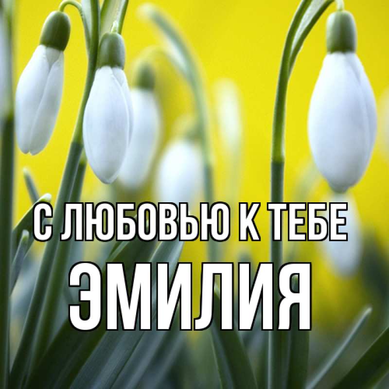 Картинка С любовью к тебе, Эмилия