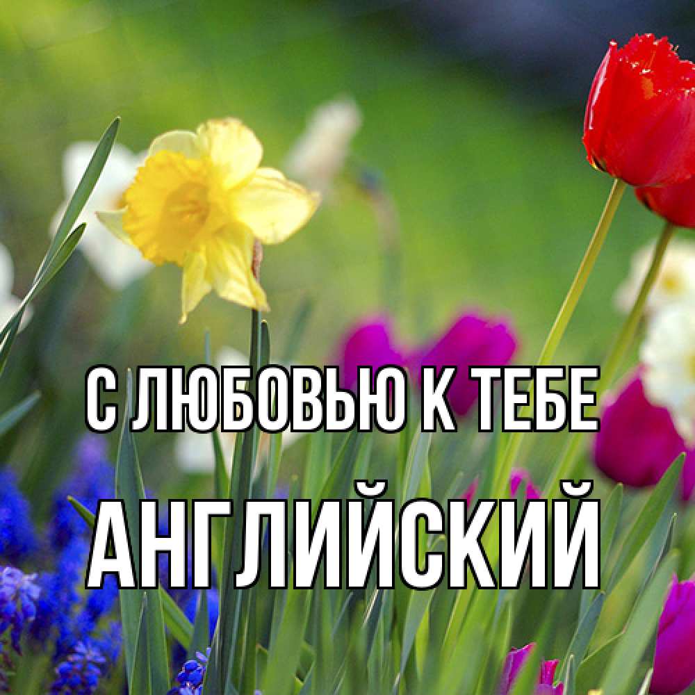 Открытка  с именем. Английский, С любовью к тебе  