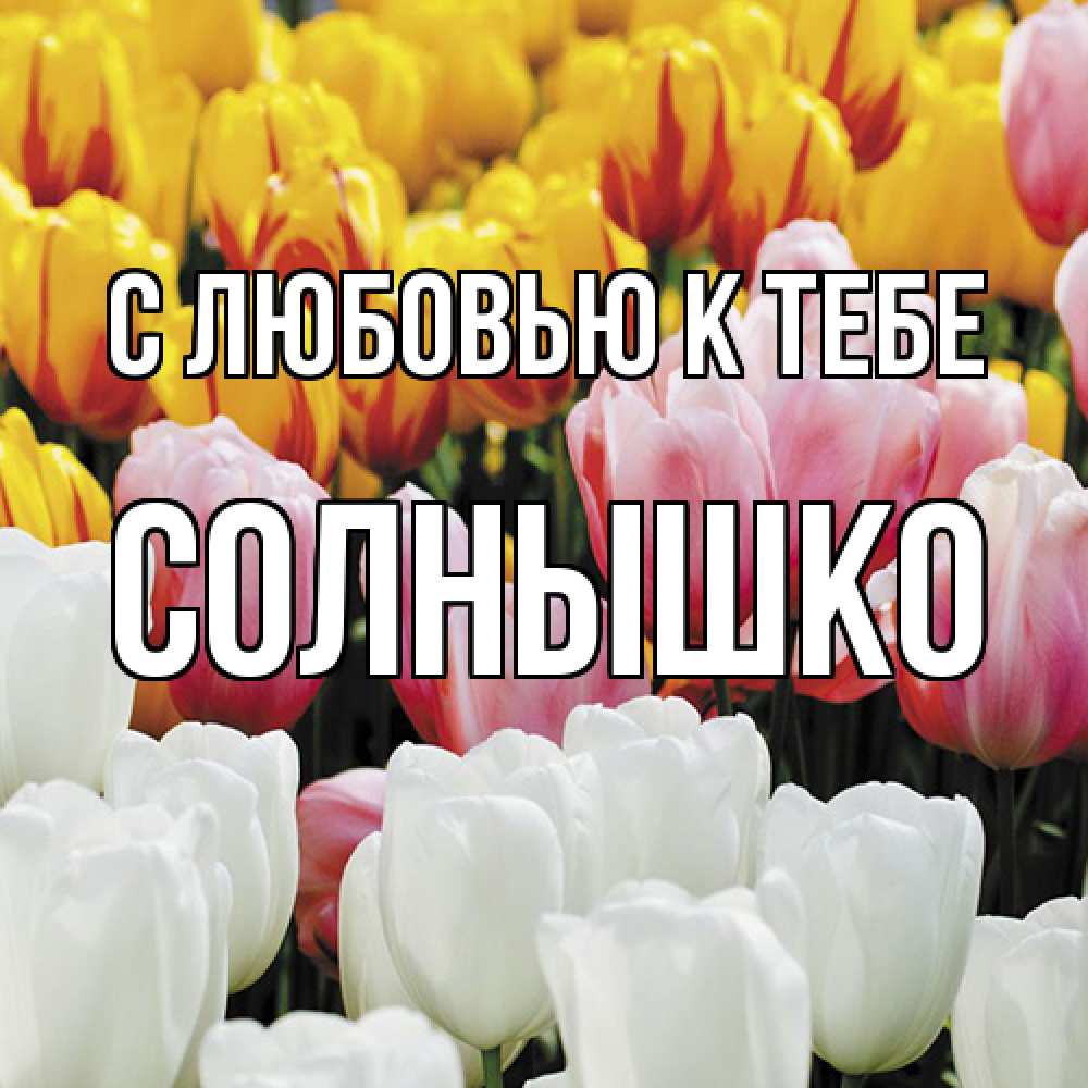 Открытка  с именем. Солнышко, С любовью к тебе  