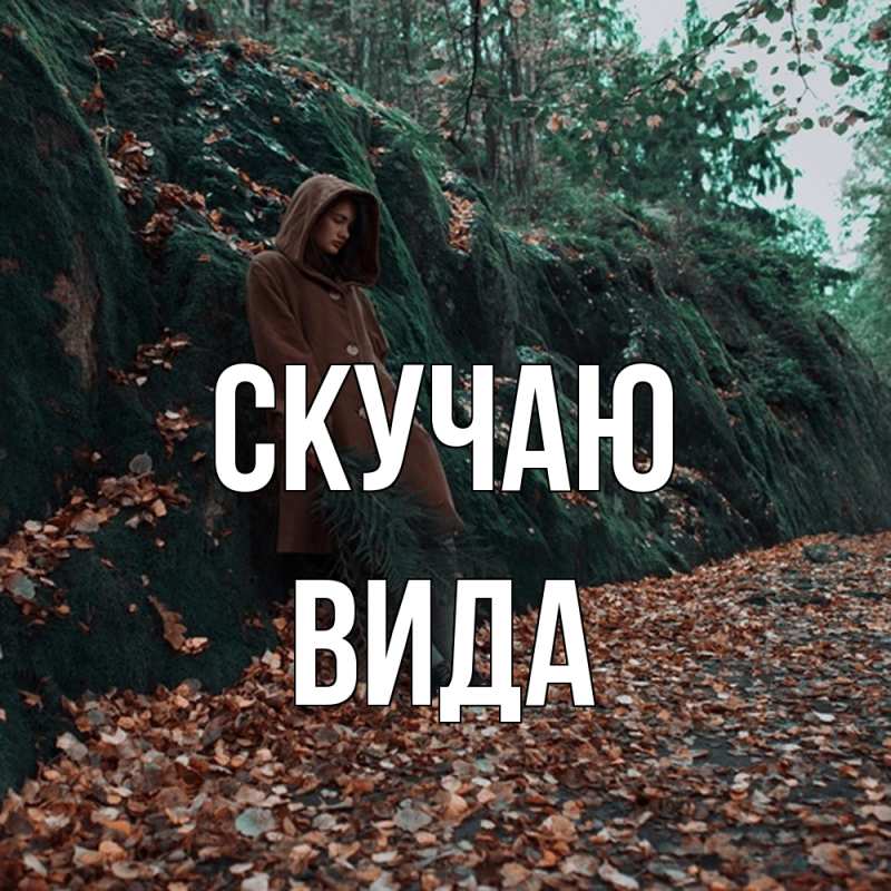 Картинка Скучаю, Вида