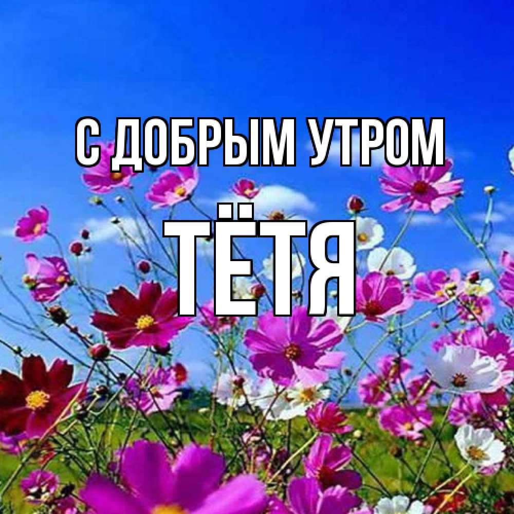 Открытка  с именем. Тётя, С добрым утром  