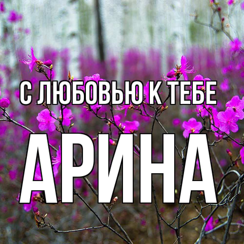 Открытка  с именем. Арина, С любовью к тебе  