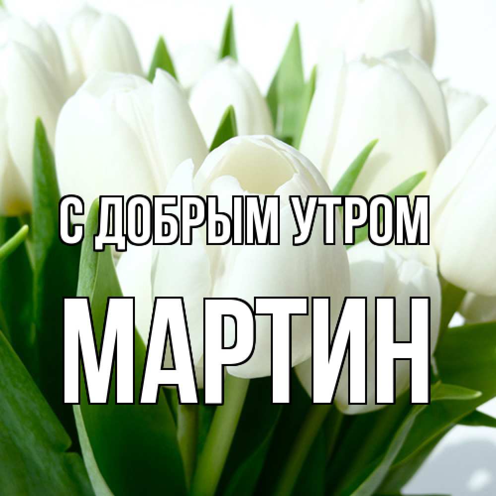 Открытка  с именем. Мартин, С добрым утром  