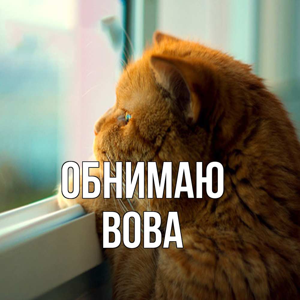 Открытка  с именем. Вова, Обнимаю  