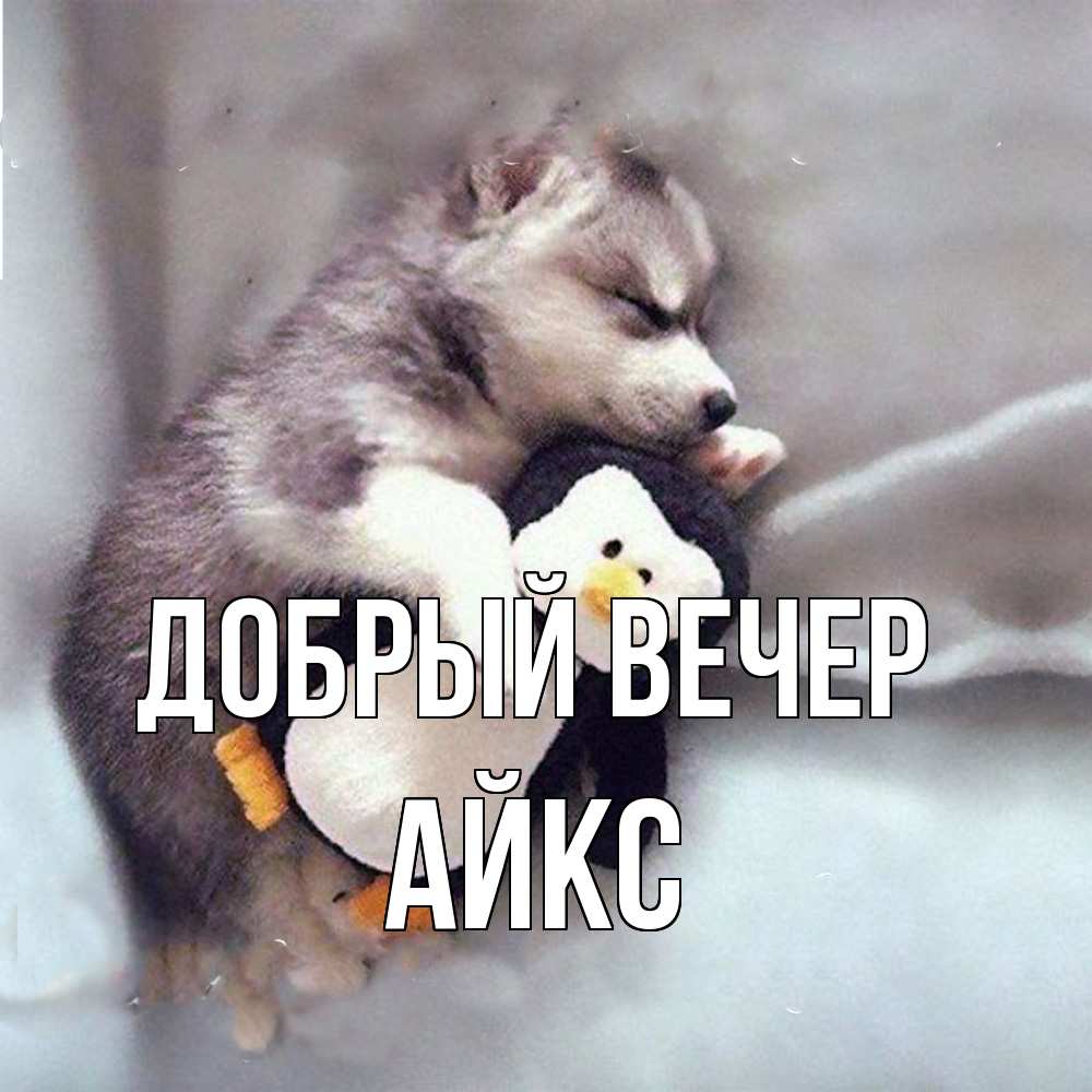 Открытка  с именем. АйкС, Добрый вечер  