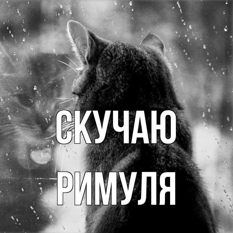 Картинка Скучаю, римуля