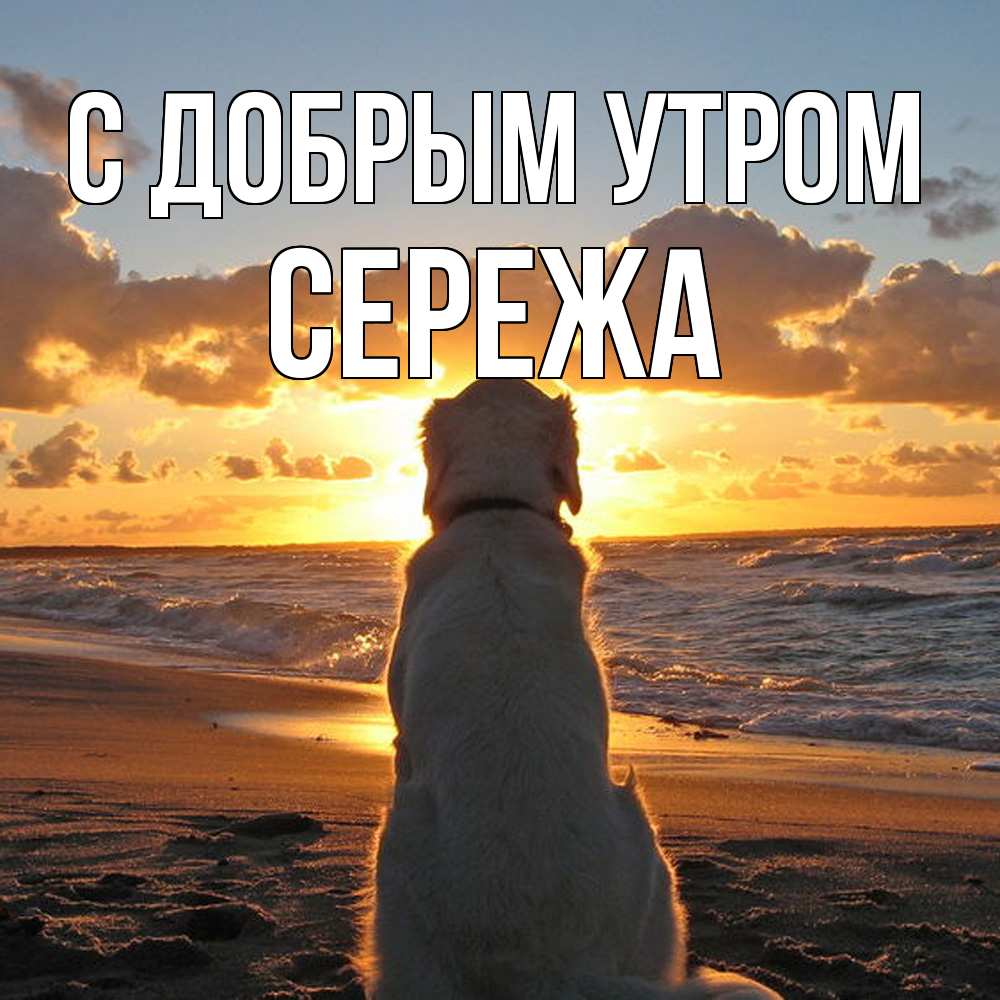 Открытка  с именем. СЕРЕЖа, С добрым утром  
