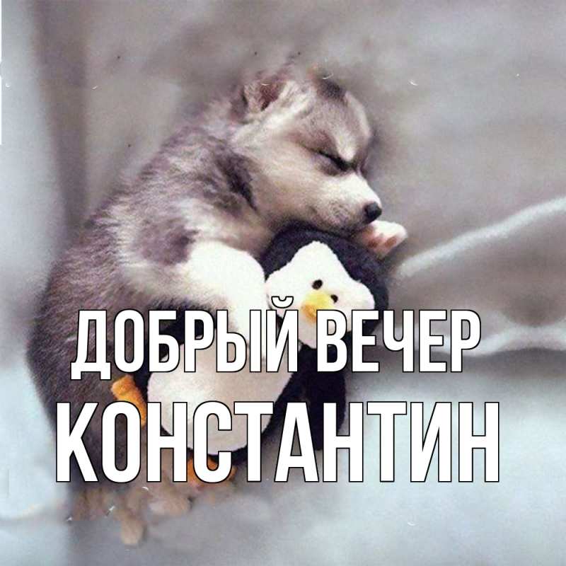 Картинка Добрый вечер, Константин